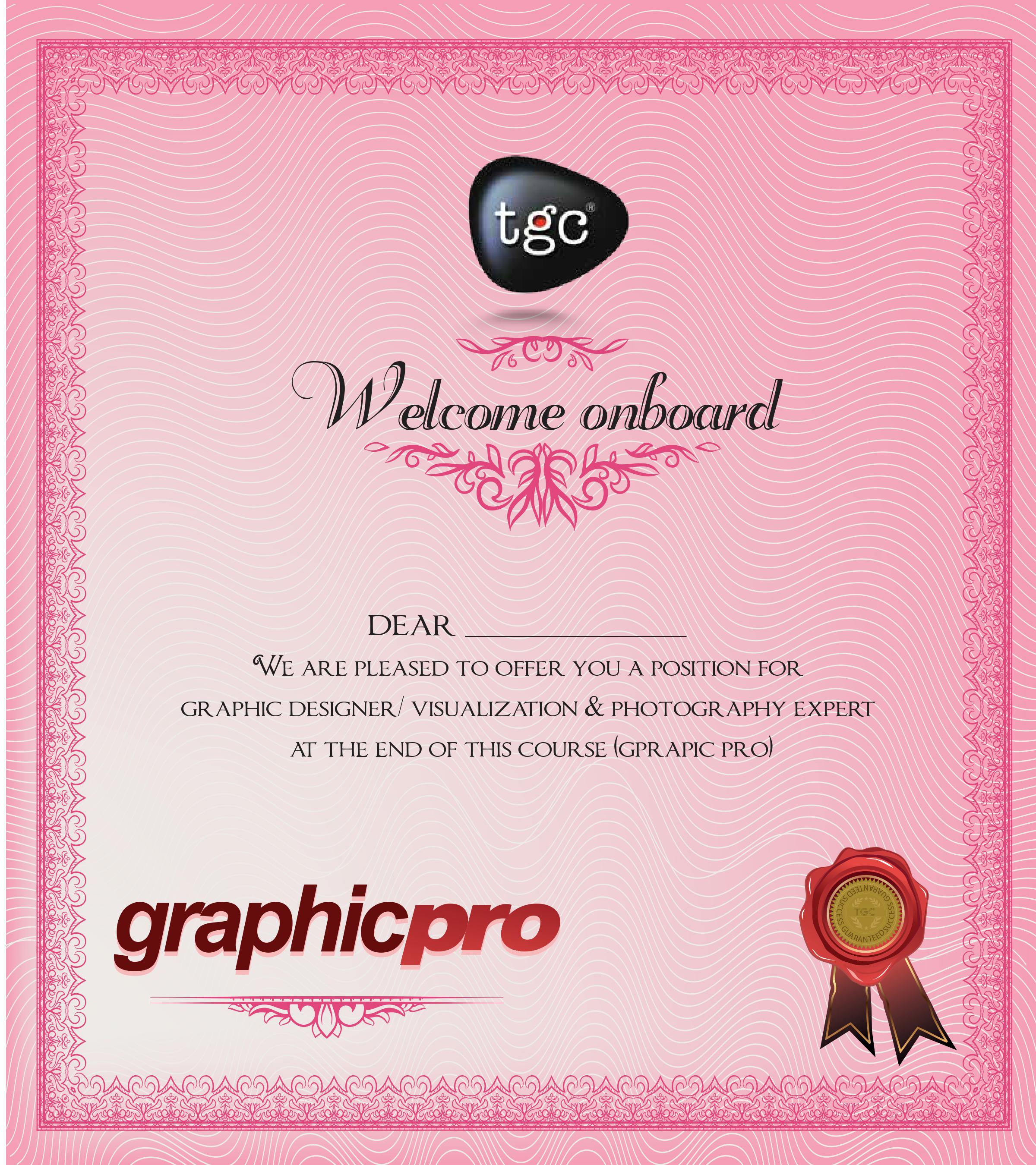 Graphic Pro